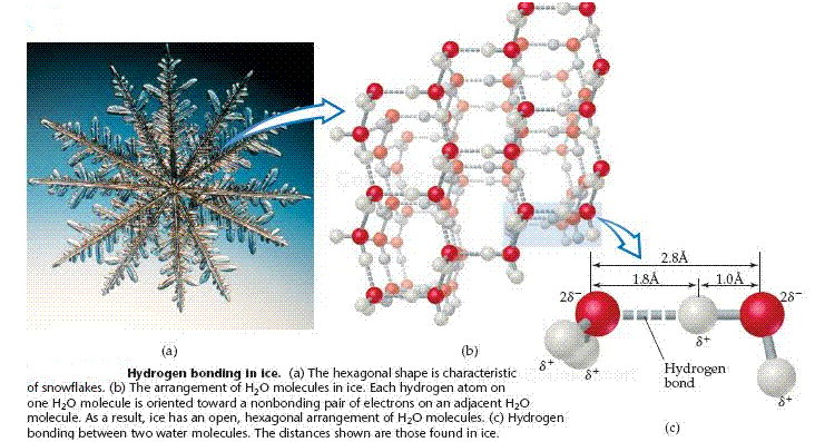 US5139696A - Hydrogen-bonded liquid crystal complexes - Google Patents